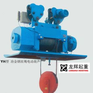 國內(nèi)鋼絲繩電動(dòng)葫蘆發(fā)展有什么優(yōu)勢(shì)和不足